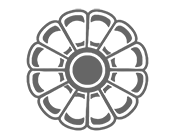 Logo 24